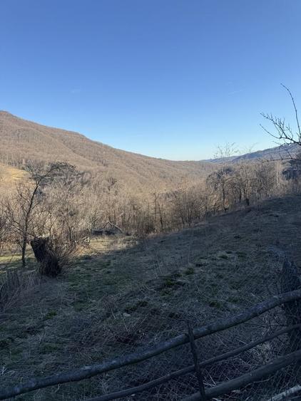 Teren de 1780 mp, în Valea Doftanei