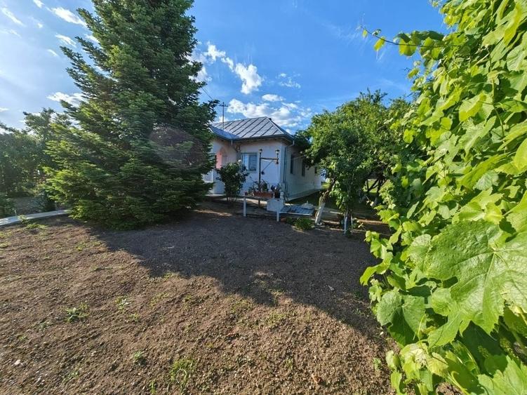 Casă cu 4 camere cu Teren 3000 Mp în Central