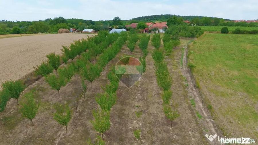 Casă cu 3 camere cu Teren 8788 Mp în Forosig