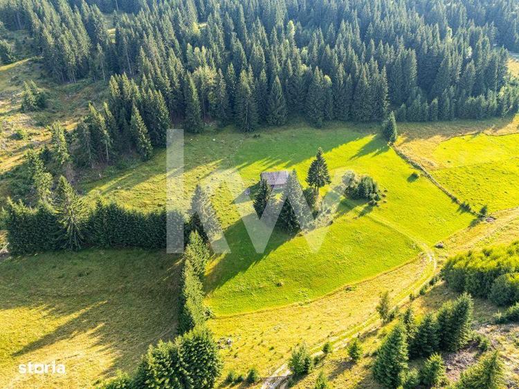 Teren de 18044 mp, în Dâmbovicioara