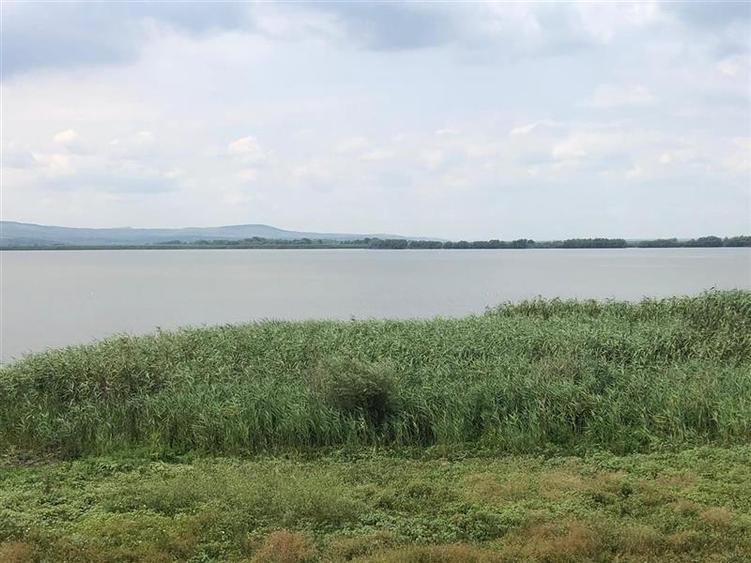 Teren Construcții intravilan de 9000 mp, în Vest