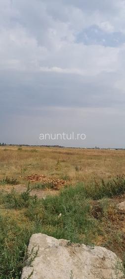 Teren în Bragadiru