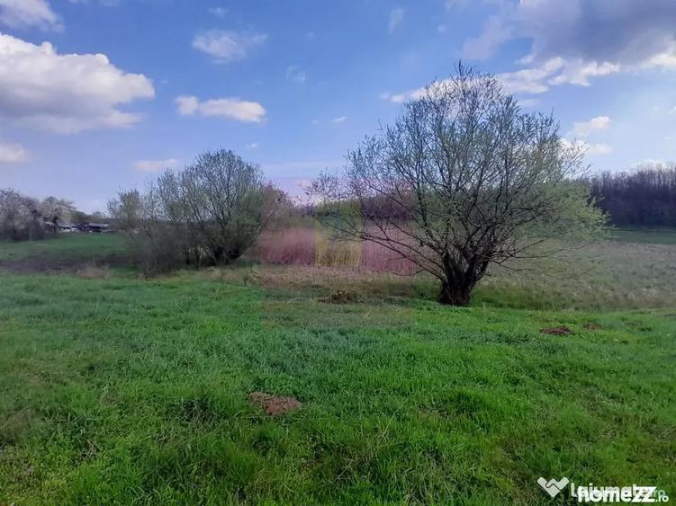 Teren în Buturugeni