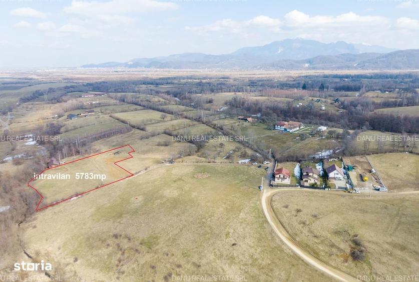 Comision0%Teren intravilan 5783mp Bran Sohodol, vedere Piatra Craiului - 9