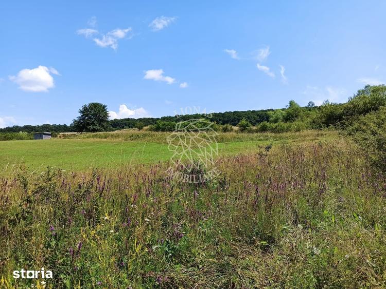 Parcele teren 4038 mp - Parcelabil - Zona Valea Stanelor - 6