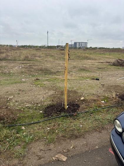 Teren Construcții intravilan de 6000 mp, în Theodor Pallady
