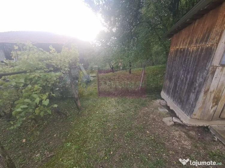 Casă cu 3 camere cu Teren 3410 Mp în Aluniș
