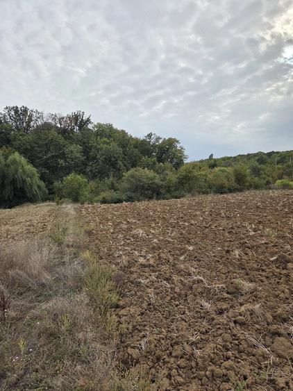 Teren de 4070 mp, în Bălteni
