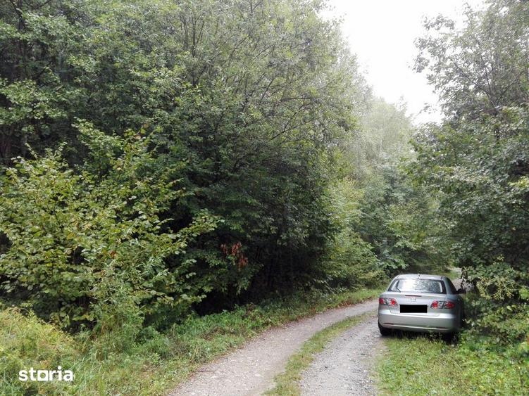 Teren de 5700 mp, în Râu de Mori