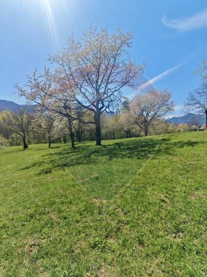 Teren Construcții intravilan de 2885 mp, în Predeluț