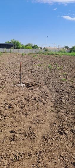 Teren Construcții intravilan de 1000 mp, în Ceacu
