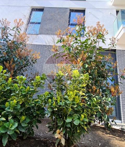 3 camere Timpuri Noi | Loc de parcare - 11