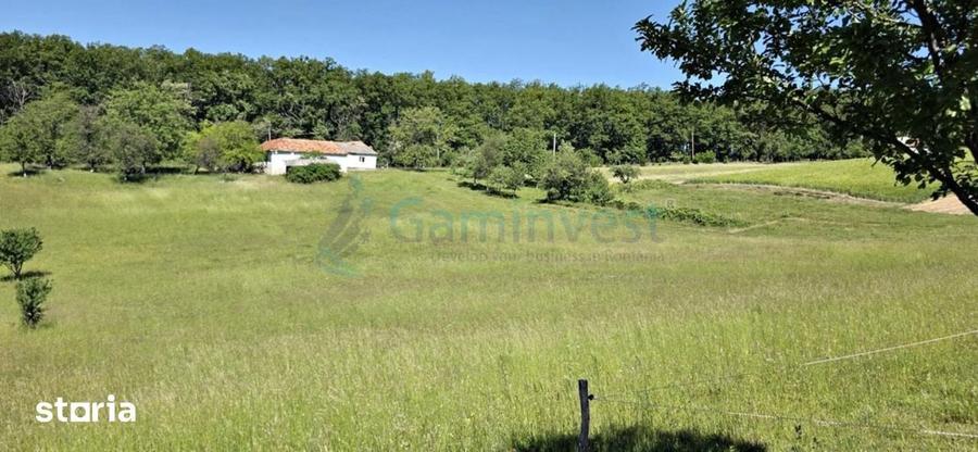 Casă cu 4 camere cu Teren 2670 Mp în Vârciorog