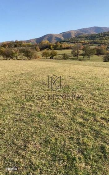 Teren de 972 mp, în Gura Râului