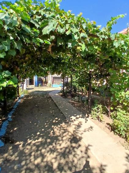 Casă cu 1 camere cu Teren 1200 Mp în Vânători