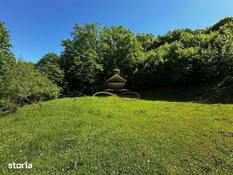 Teren de 1439 mp, în Mărgineni