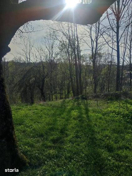Teren de 5973 mp, în Provița de Jos