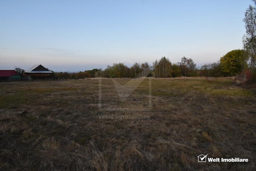 Teren Construcții intravilan de 2540 mp, în Dângău Mare