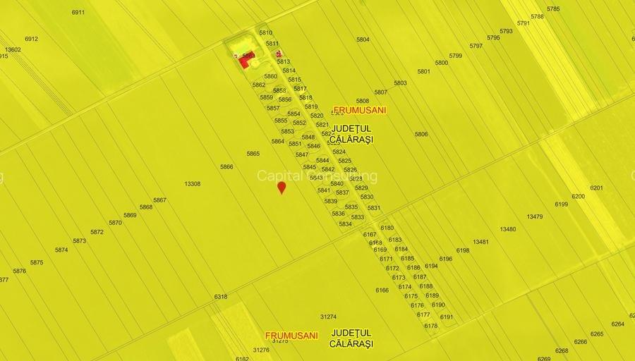 Teren Construcții intravilan de 76622 mp, în Frumușani