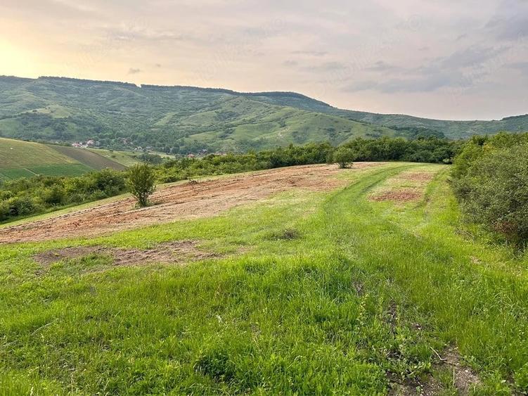 Teren de 5800 mp, în Central