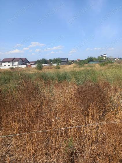 Teren de 4000 mp, în Broșteni