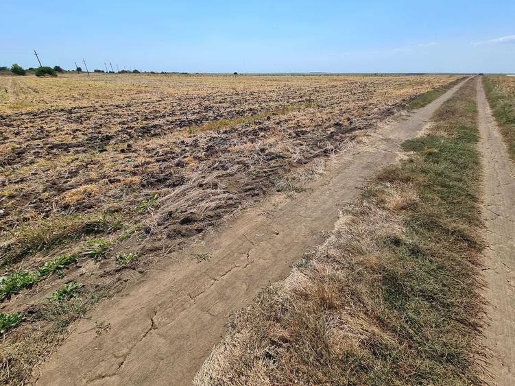 Teren intravilan Vama Veche - 1