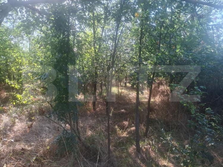 Teren Construcții extravilan de 5000 mp, în Mătăsaru
