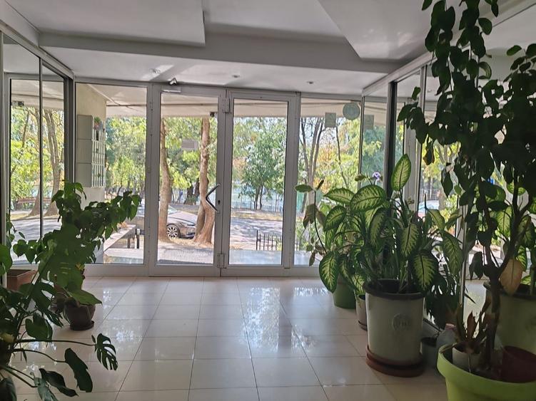 Apartament 4 camere Parc Herastrau - 14