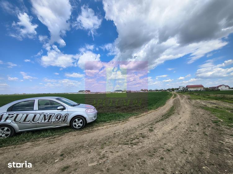 Teren de 12450 mp, în Cernica