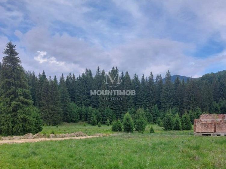 Teren Construcții intravilan de 4698 mp, în Poiana Brașov