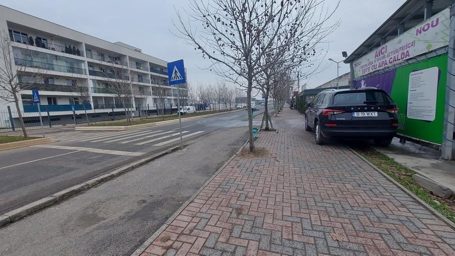 Teren în 1 Decembrie