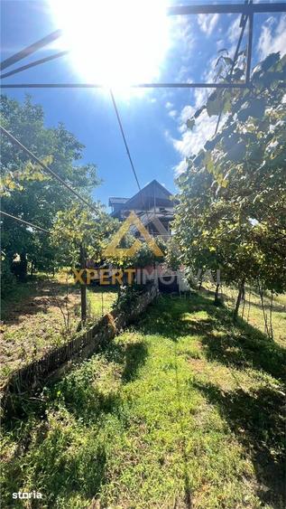 Casă cu 4 camere cu Teren 4900 Mp în Central