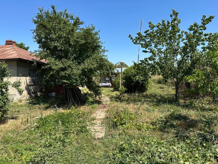 Casă individuală cu 3 camere cu Teren 1200 Mp în Andrășești