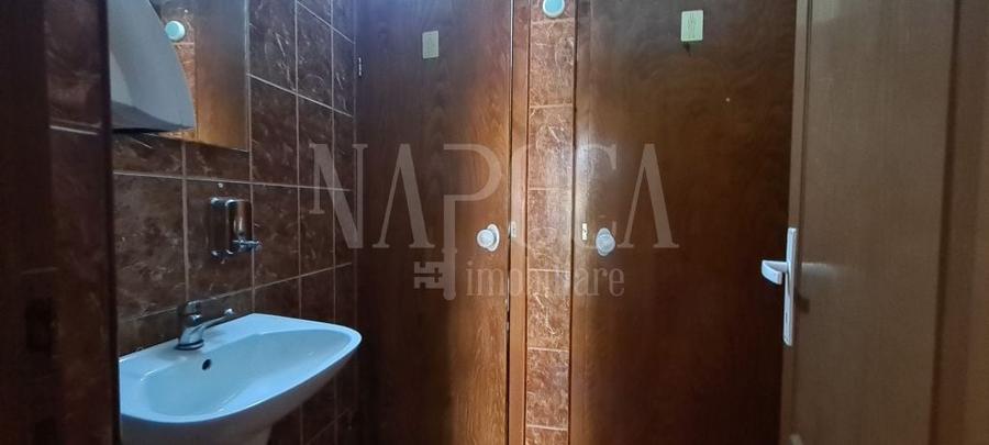 Casă individuală cu 12 camere cu Canalizare în Gruia