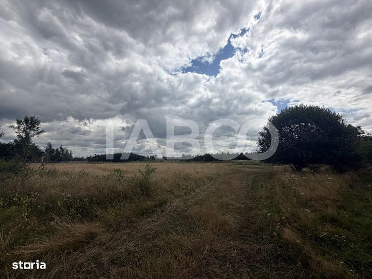 Teren extravilan 3650 mp latime 28 ml pretabil pentru cabana turistica - 2