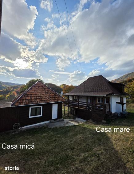Casă cu 3 camere cu Teren 10292 Mp în Blăjeni