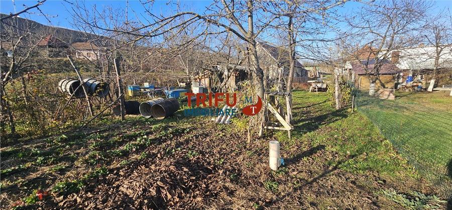 Teren Construcții intravilan de 2200 mp, în Ampoi 1