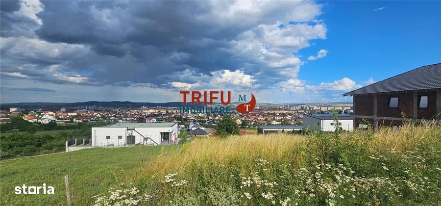 Spațiu comercial, în Cetate