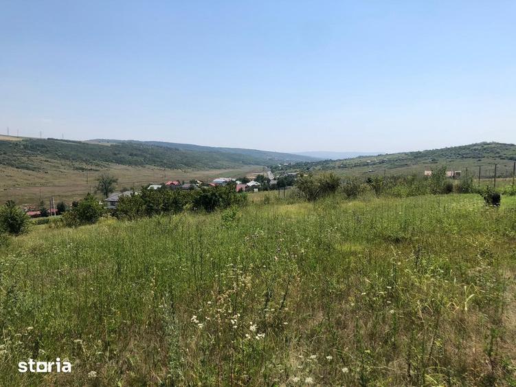 Teren de 5000 mp, în Popricani