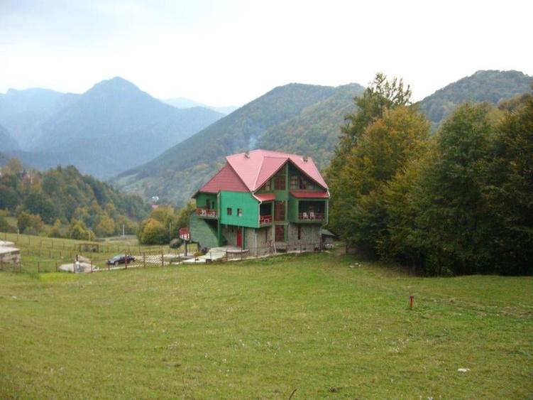 Casă individuală cu 15 camere cu Teren 1857 Mp în Lepșa