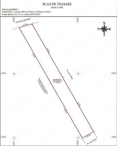 Teren intravilan 1.000 mp | Moara Vlasiei | Strada Berzei - 8