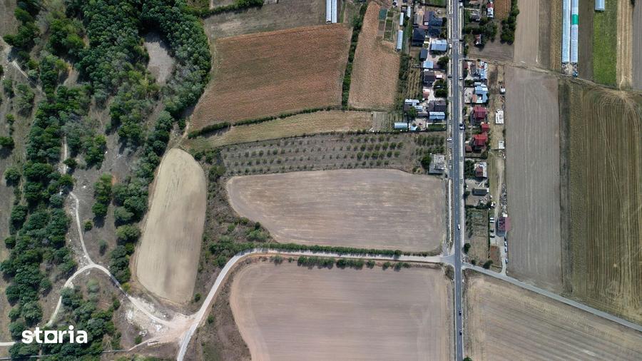 Teren de 9654 mp, în Dobra