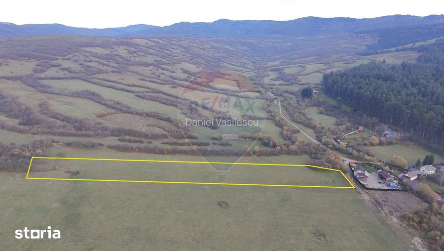 Teren 5.800 mp Purcareni curent, gaz, apa / Strada 30 decembrie