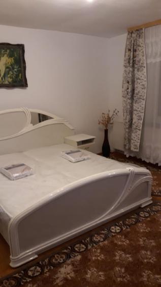 Magnolia, garsoniera mobilata, 350 euro - 3