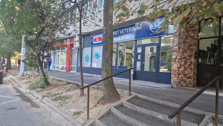 Spațiu comercial, de 100 mp, în Constructorilor