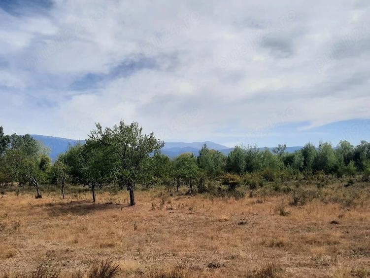 Teren de 5000 mp, în Central
