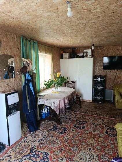 Casă cu 2 camere cu Teren 3868 Mp în Bârsănești