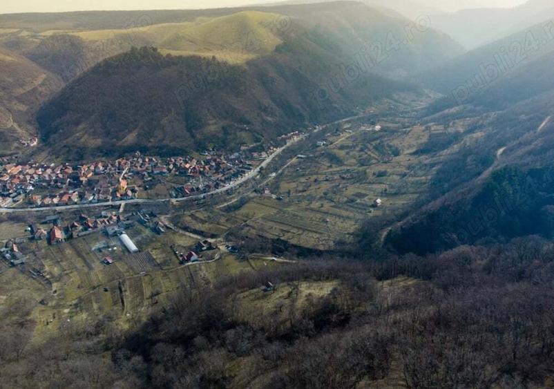 Teren de 8900 mp, în Laz (Săsciori)