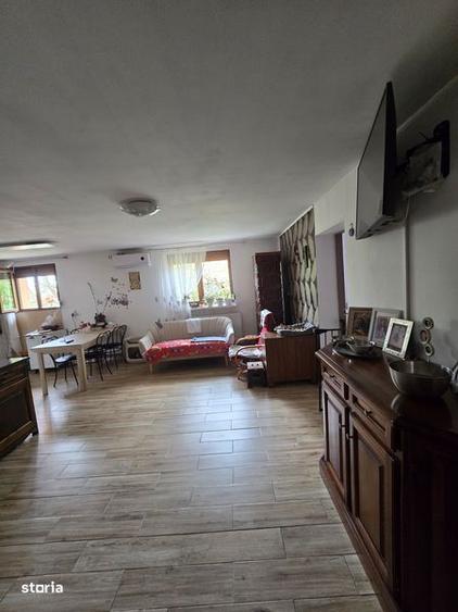 Casa renovata, cu 2924 mp teren. Front stradal 38 m. Garaj 2 masini. - 6
