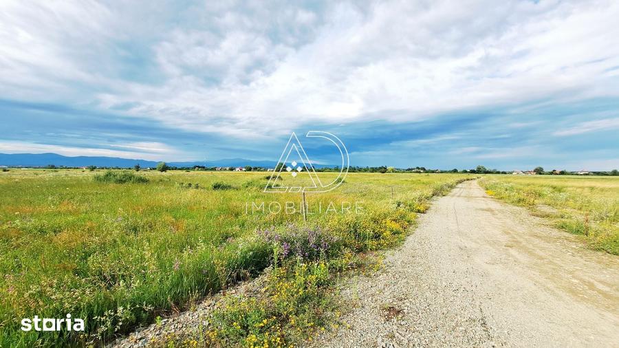 Teren de 10000 mp, în Central